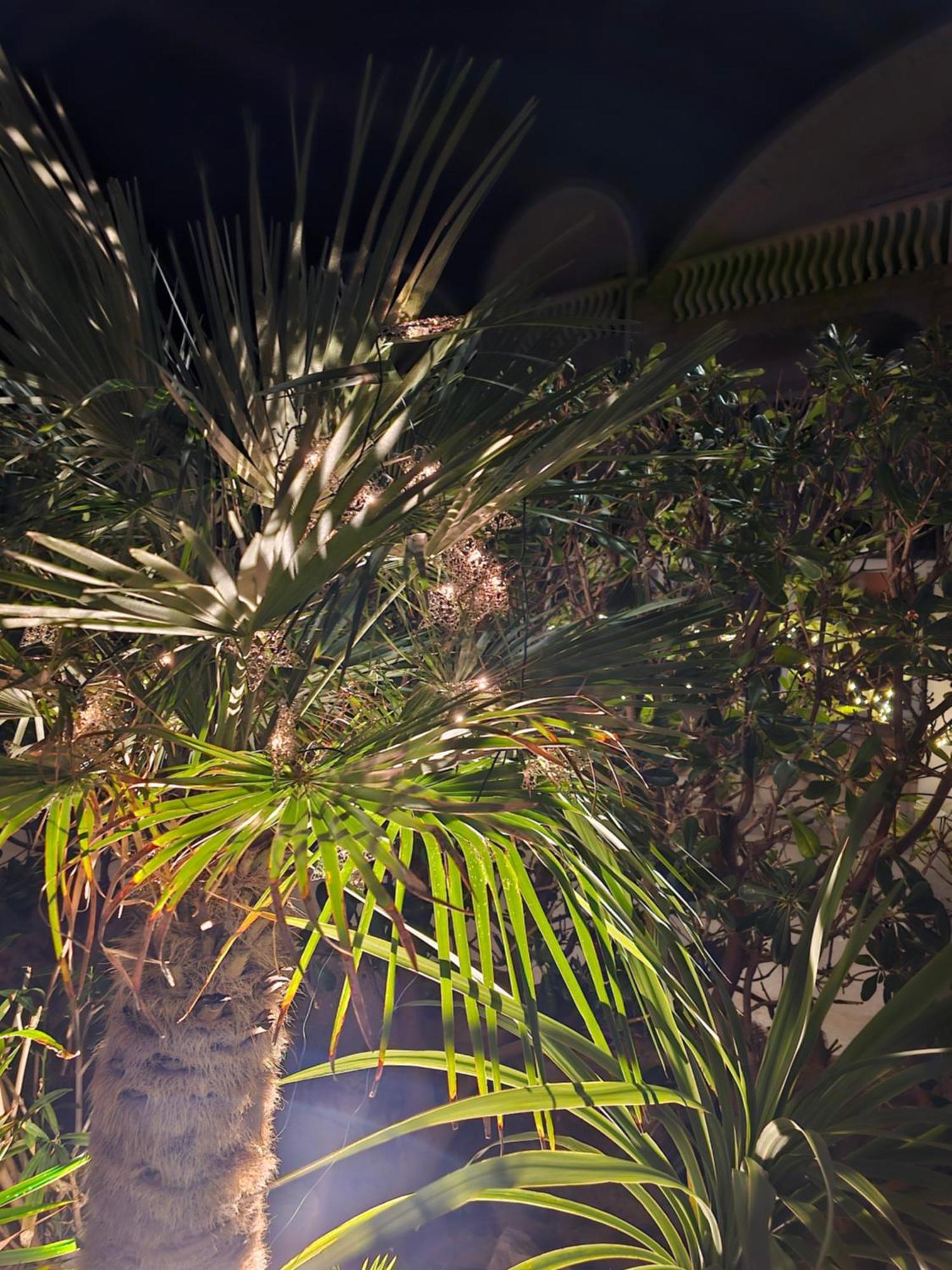 Apartment Melani วีร์ ภายนอก รูปภาพ